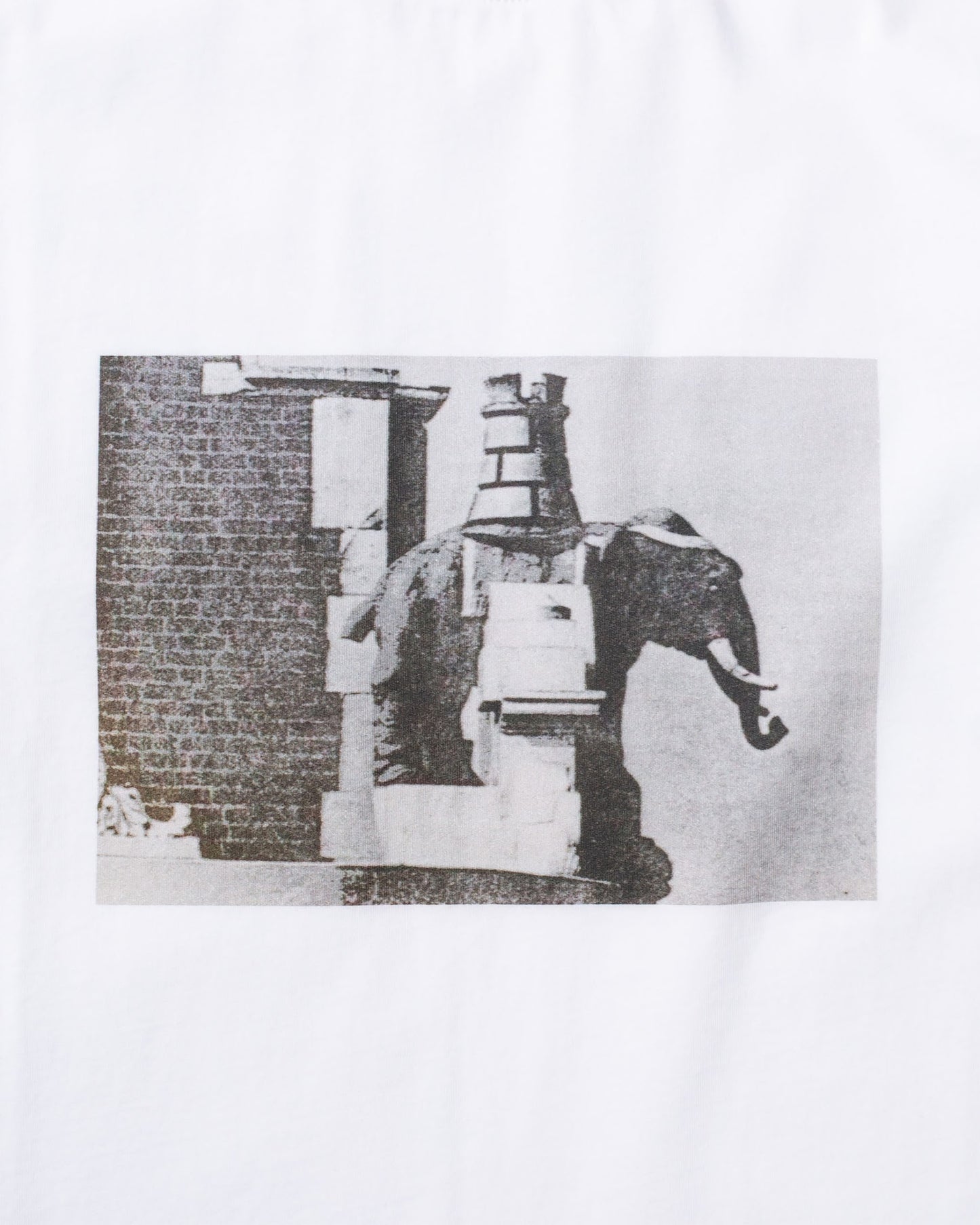Candice - Winchester Tee, White