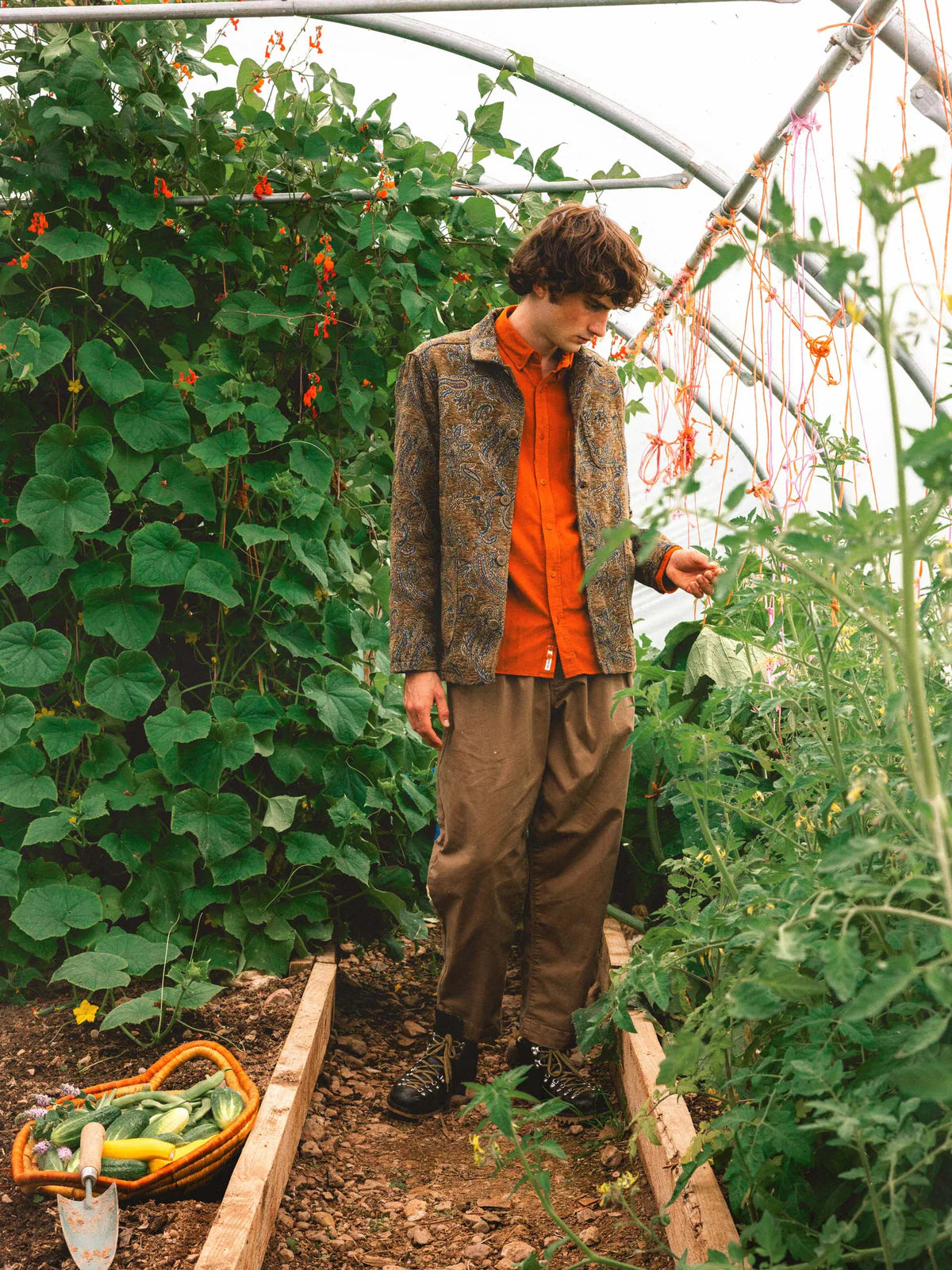 Kestin - Ormiston Jacket, Olive Paisley Jacquard