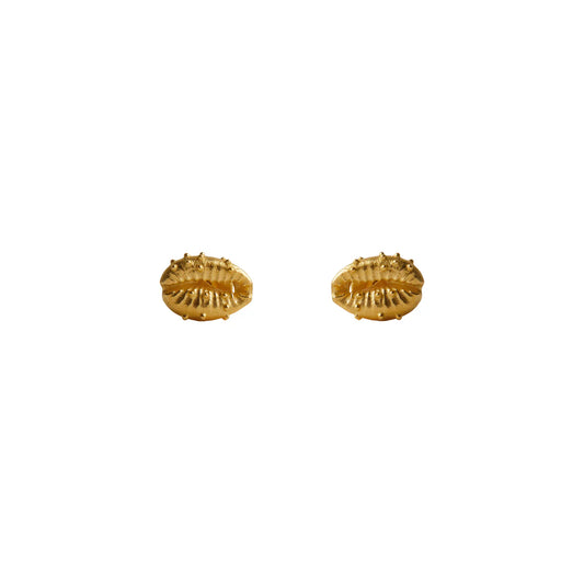 Rachel Entwistle - Aphrodite Stud Earrings, Gold