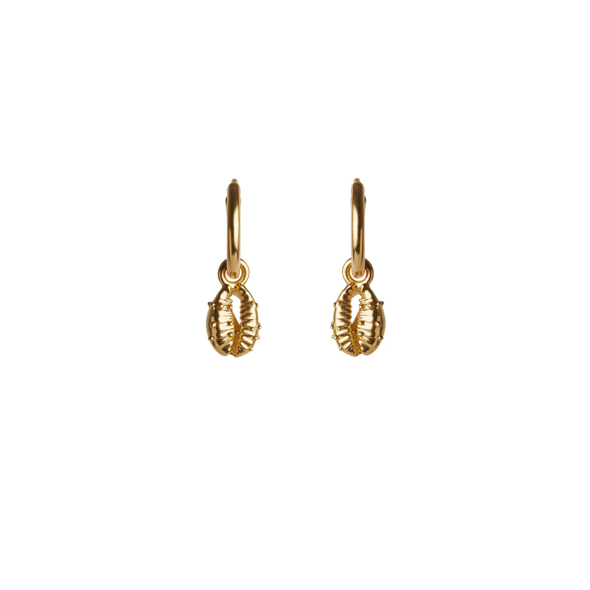 Rachel Entwistle - Aphrodite Mini Hoop Earrings, Gold