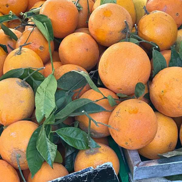 Earl of East - Primavera Estate Soy Wax Candle, Chinotto