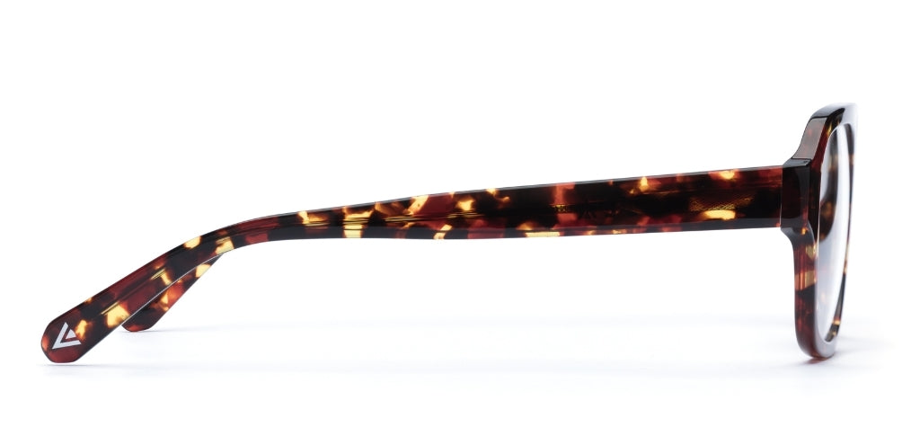 IOLLA - Arran - Dark Tortoise - Blue Light