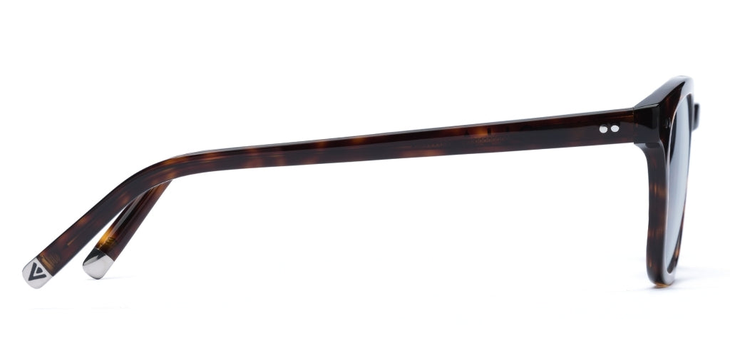 IOLLA - Connolly - Deep Havana / Glacier Tint