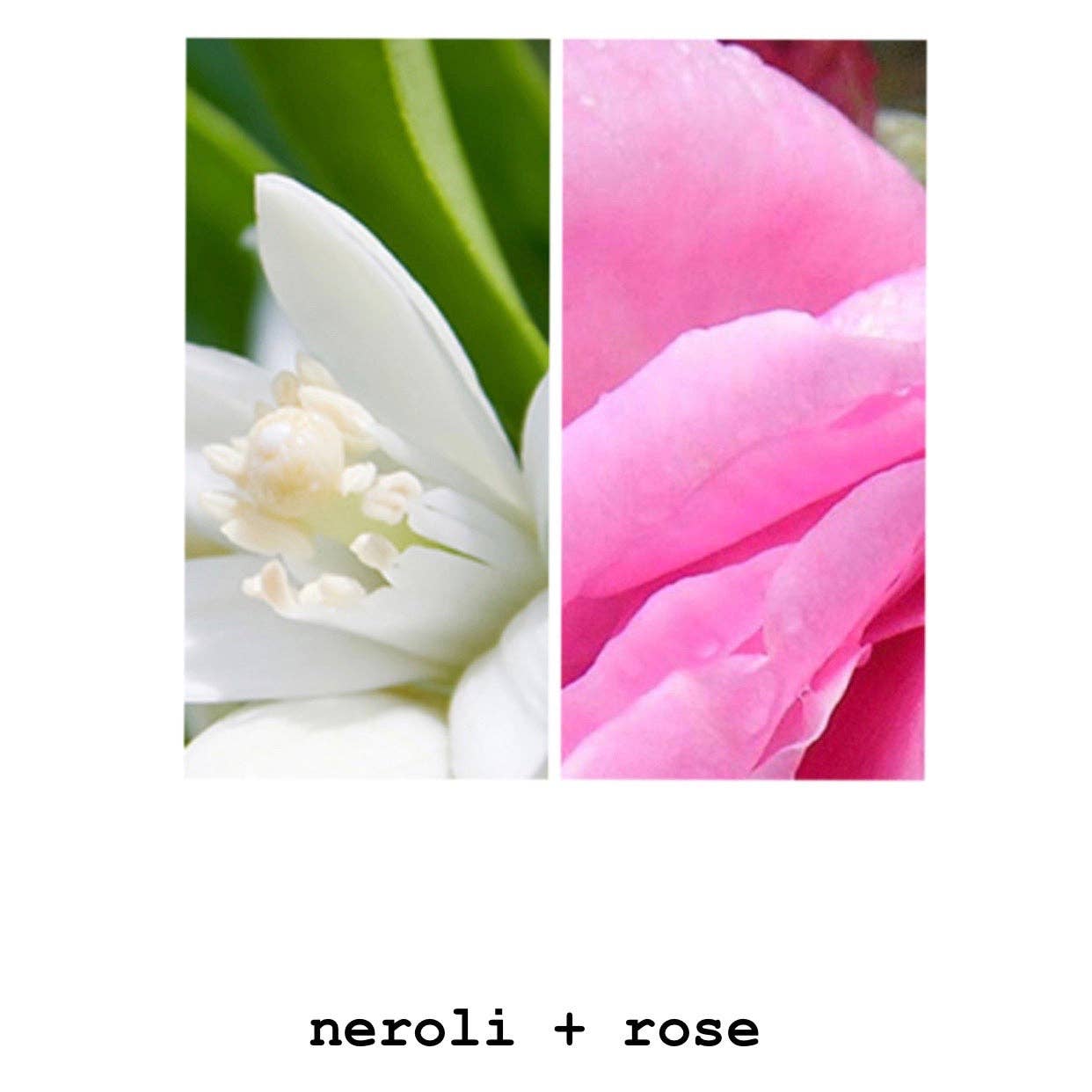 MODM - Hand + Body Wash - Neroli + Rose