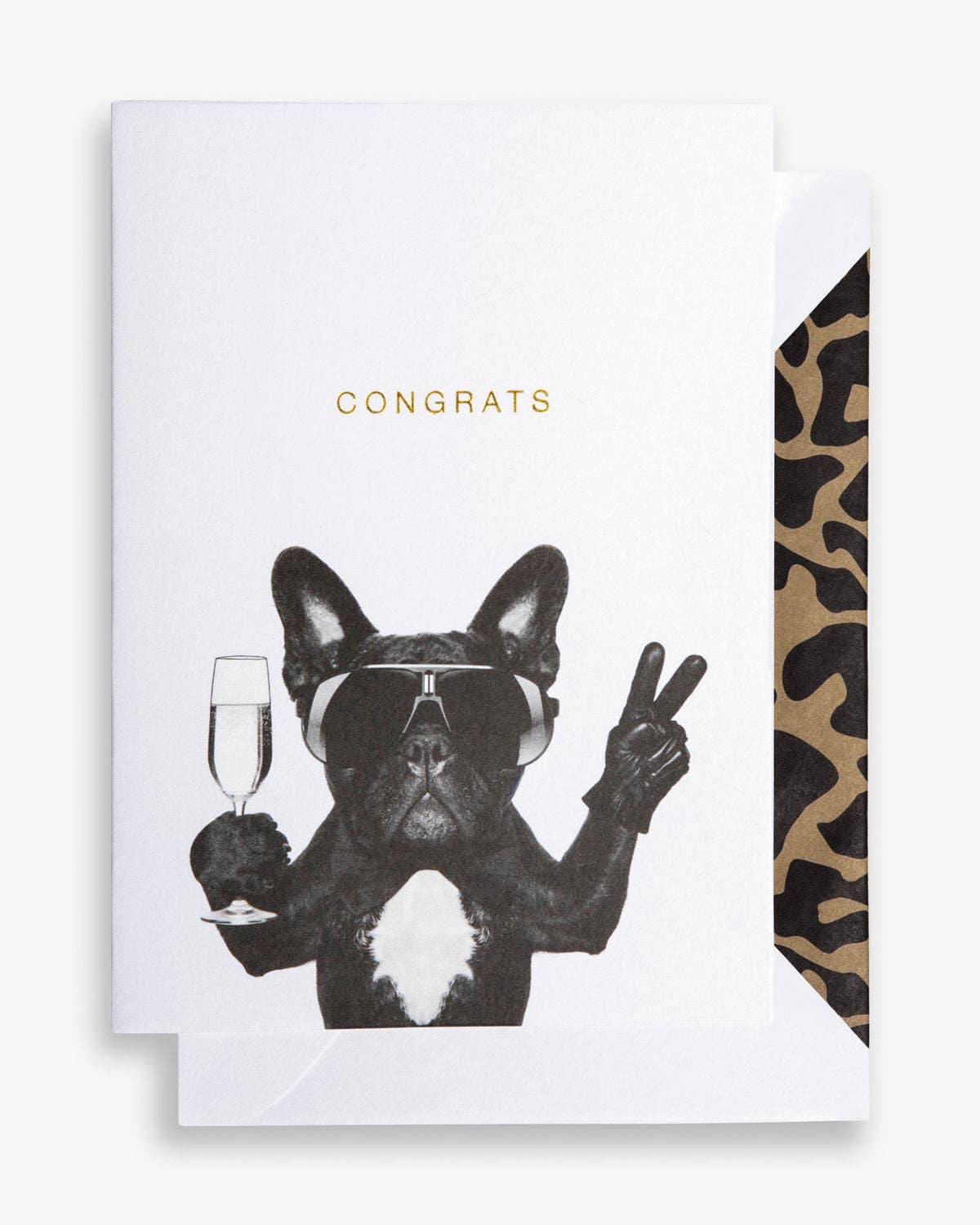 Cardsome -  Congrats Dog GREETING CARD A6