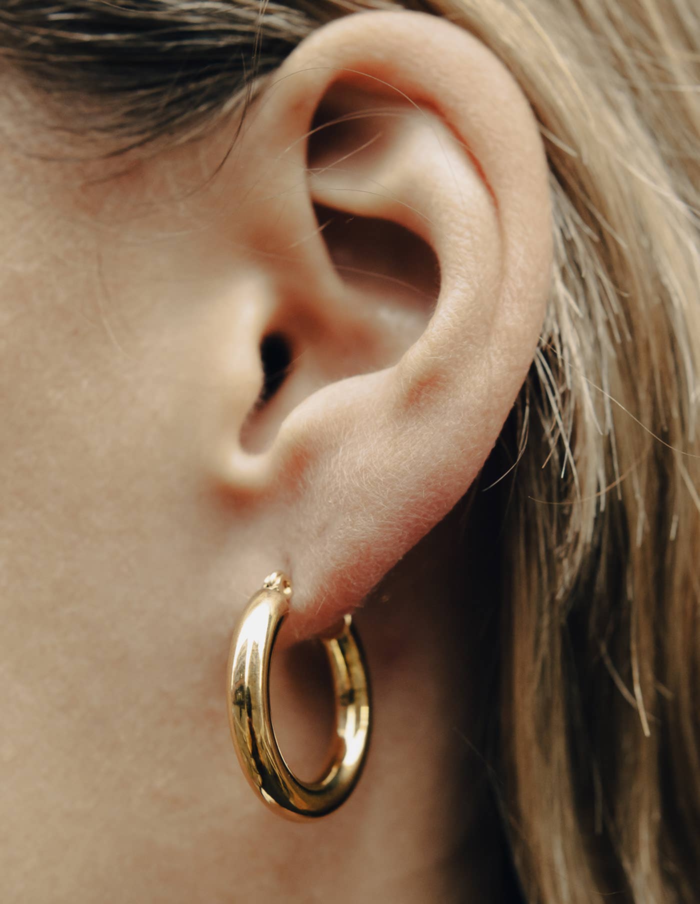 Nordic Muse - Gold Classic Hoop Earrings