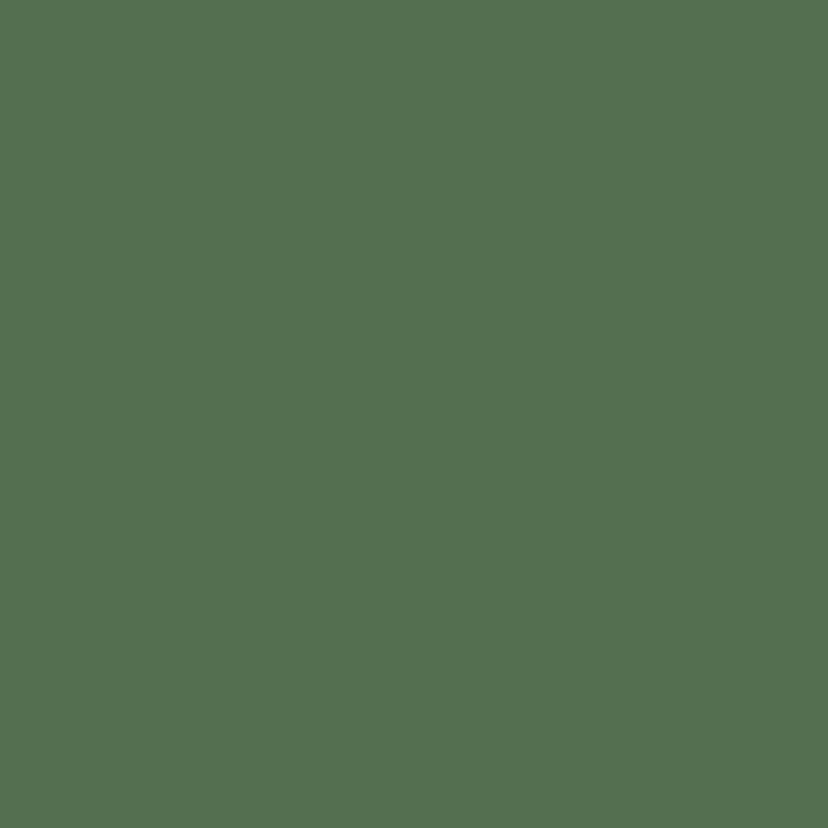 A Weathered Penny - Vegan & Non Toxic Nail Polish - Fern