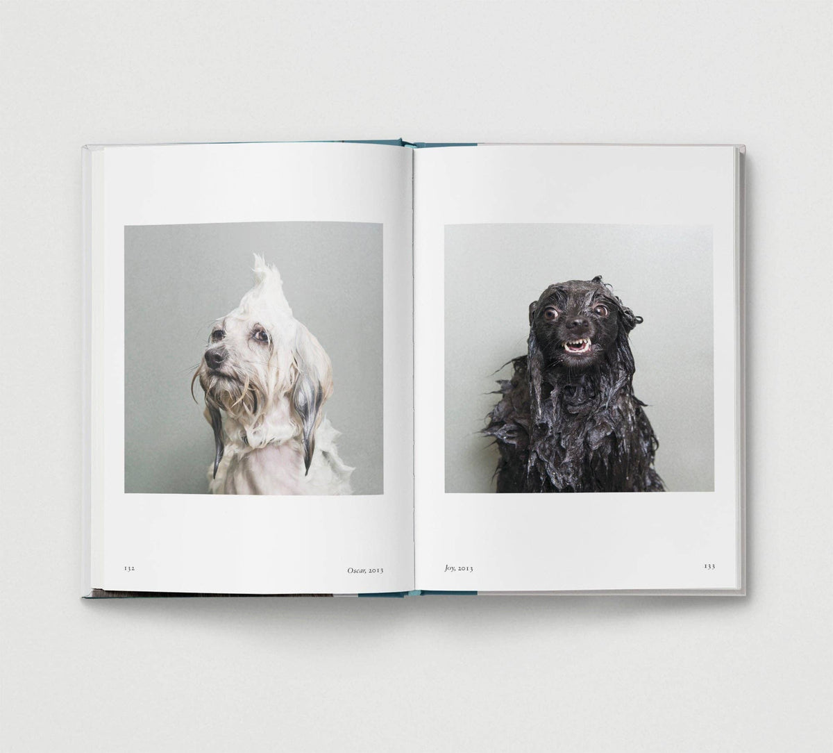Hoxton Mini Press - Dog.