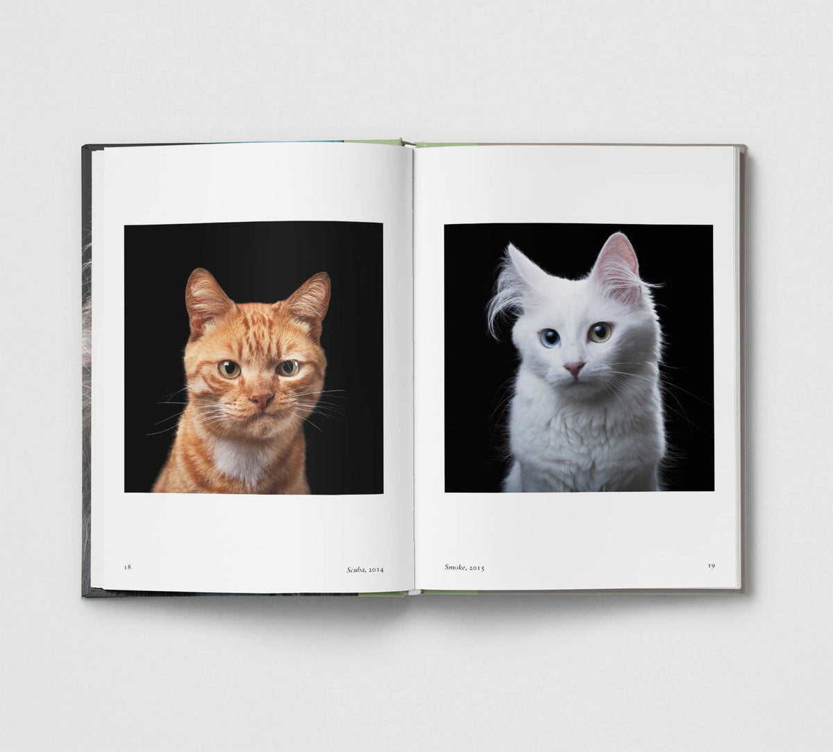 Hoxton Mini Press - Cat.