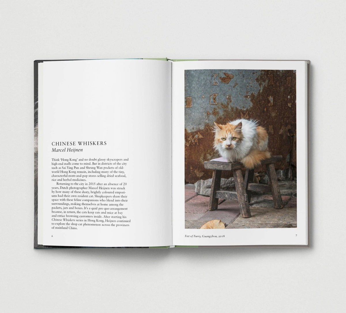 Hoxton Mini Press - Cat.