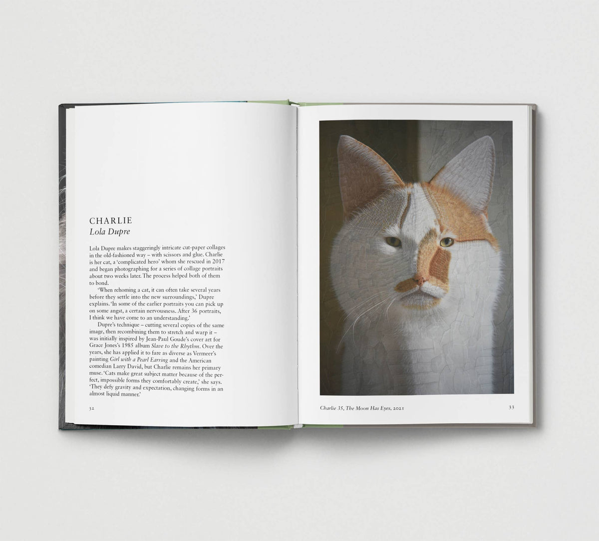 Hoxton Mini Press - Cat.