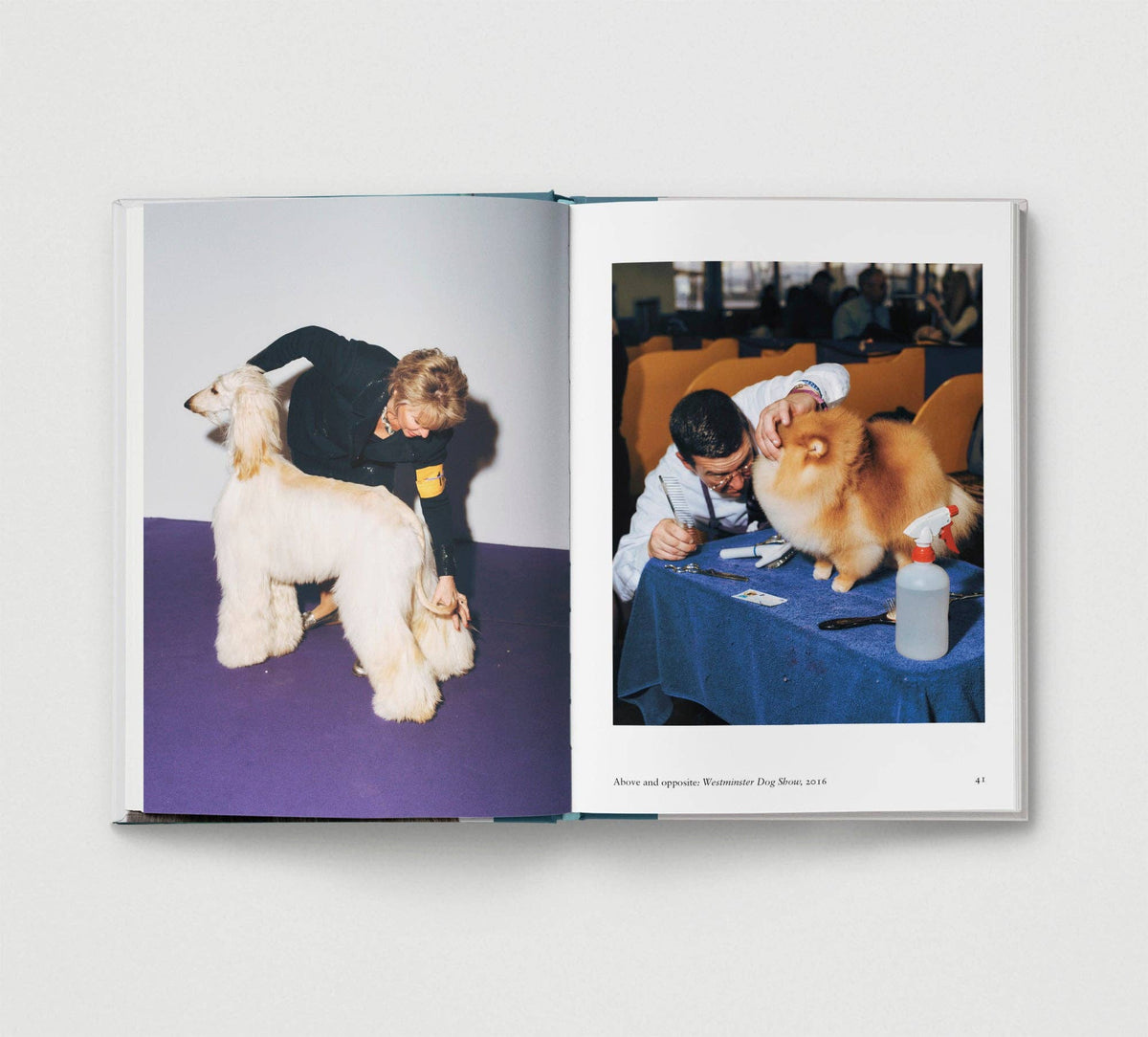 Hoxton Mini Press - Dog.