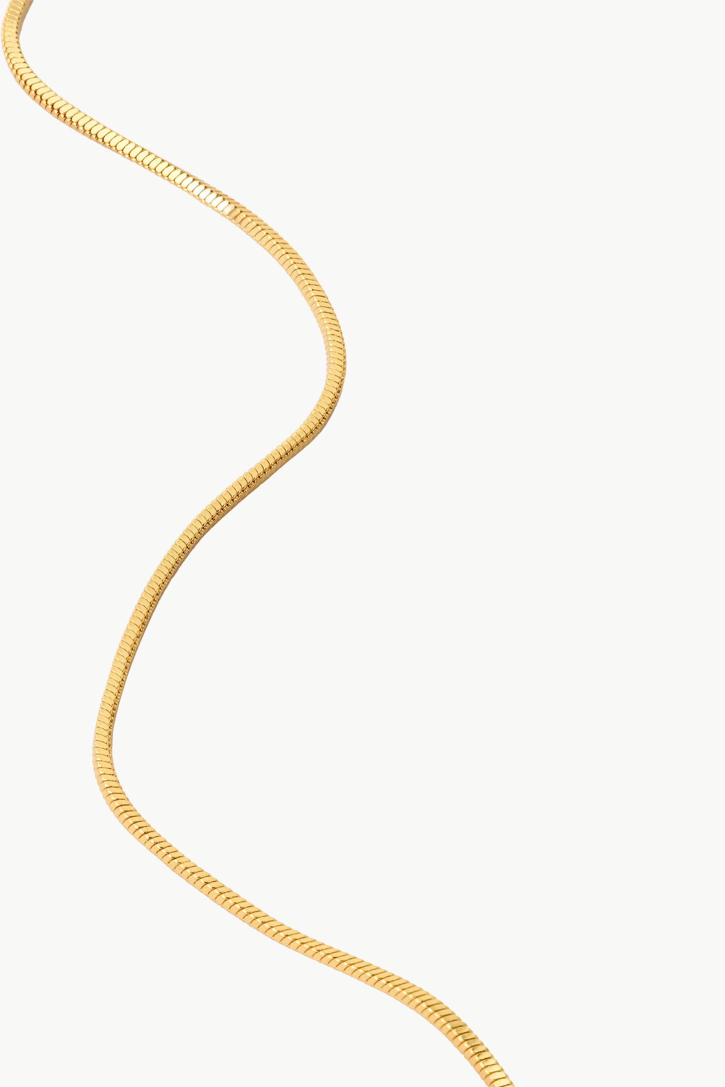 Arctic Fox & Co - The Gold Box Chain Necklace