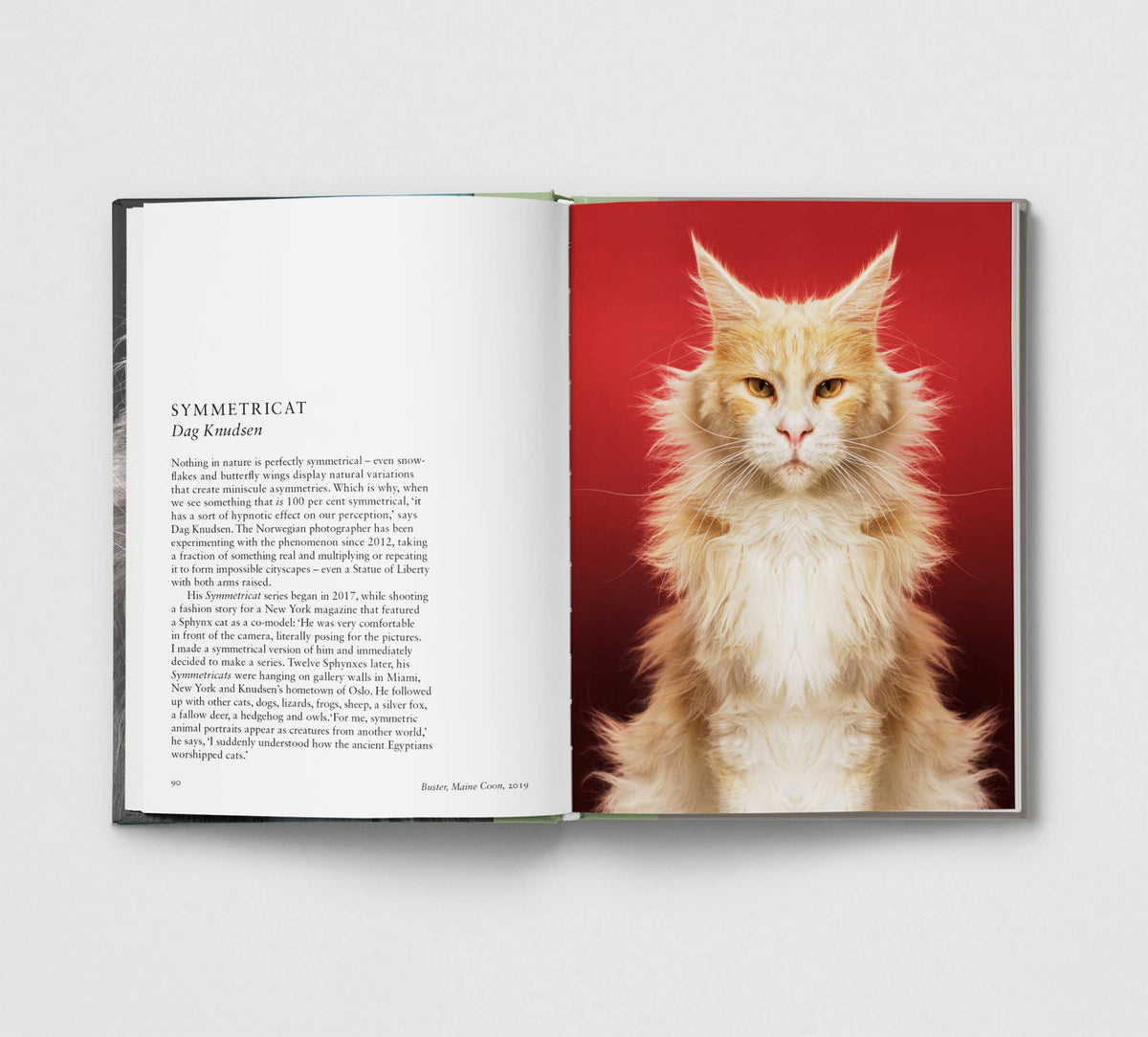 Hoxton Mini Press - Cat.