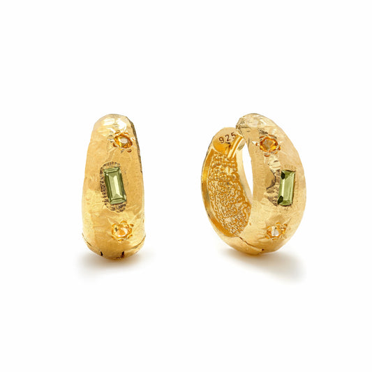 Tyger by the Tail - Carmen Hoops, Gold
