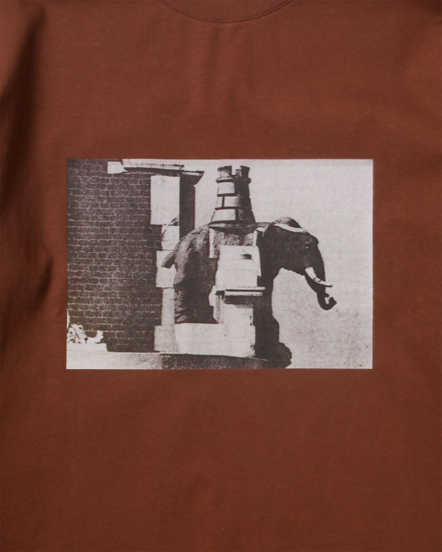 Candice - Winchester Long Sleeve Tee, Brown
