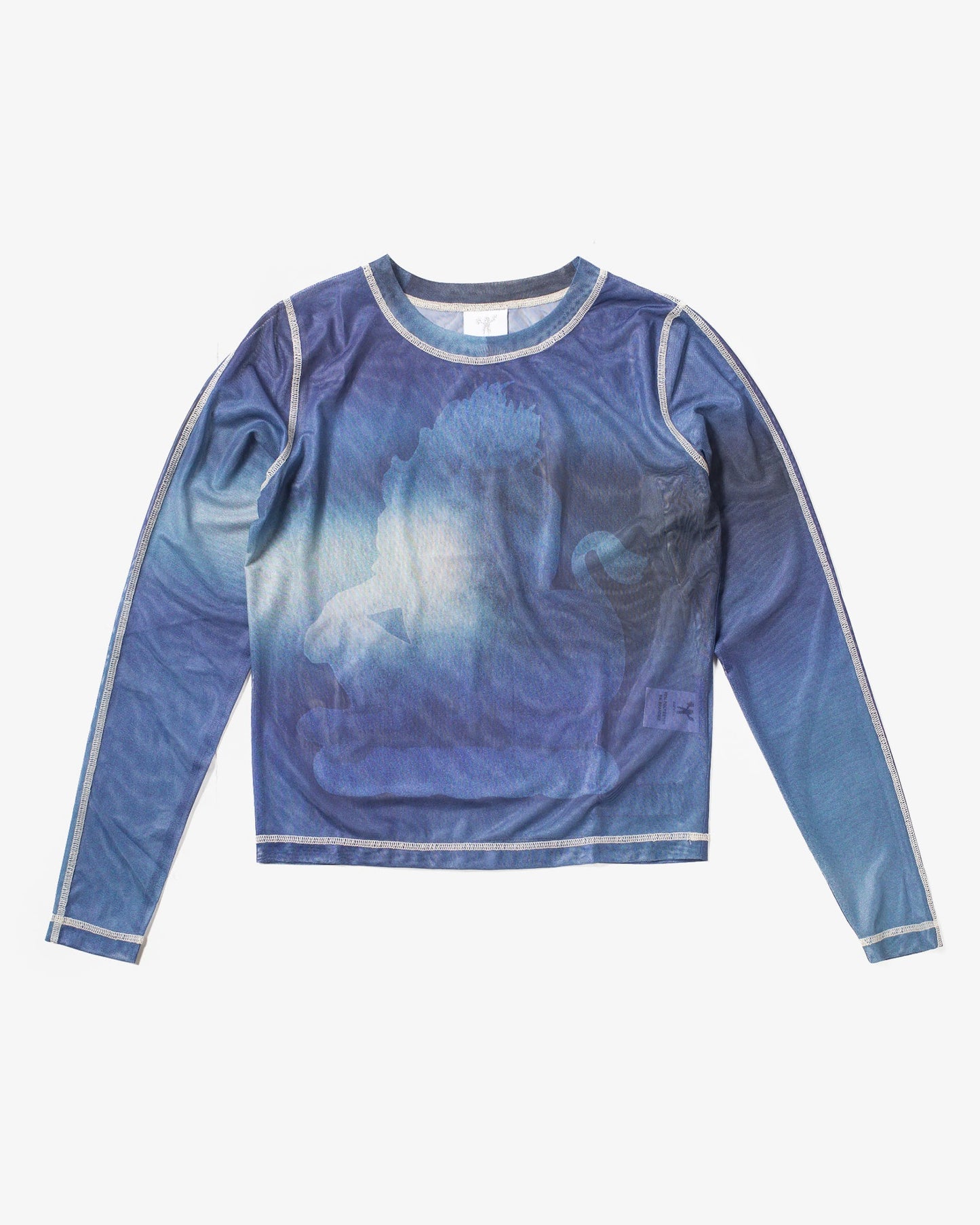 Candice - Mane Mesh Top, Blue