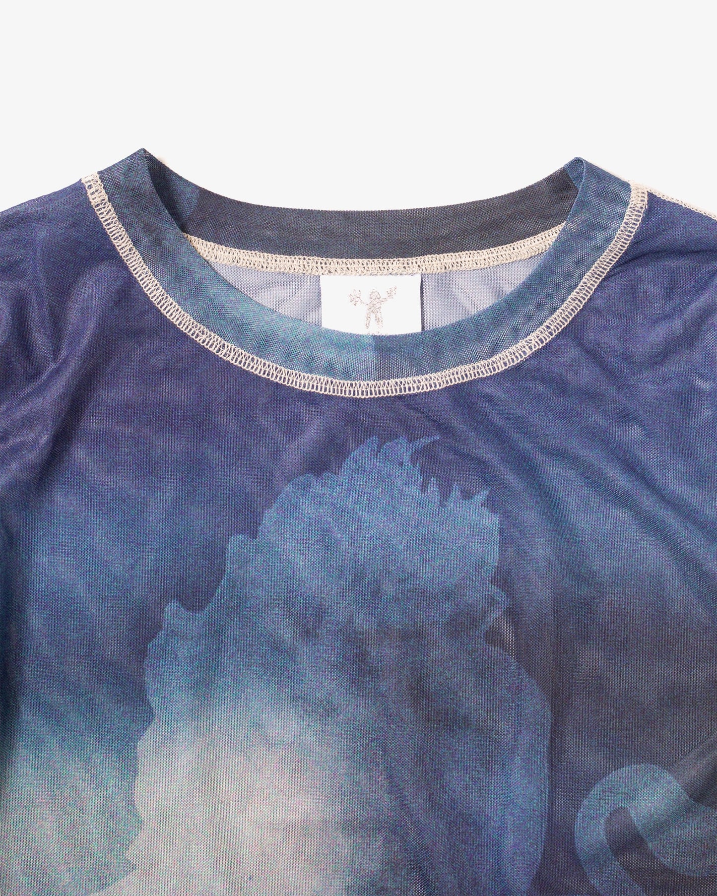 Candice - Mane Mesh Top, Blue