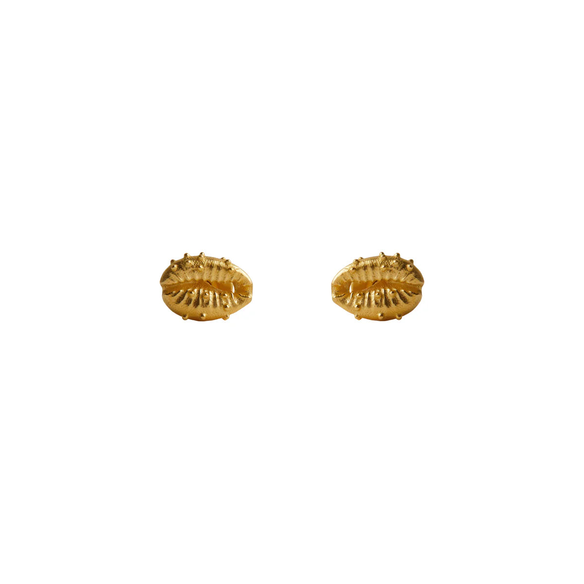 Rachel Entwistle - Aphrodite Stud Earrings, Gold