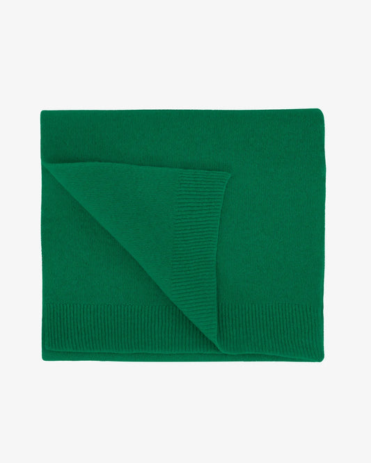 Colourful Standard - Merino Wool Scarf, Kelly Green