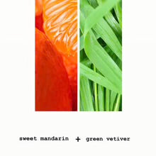 MODM - Hand + Body Wash, Mandarin + Vetiver