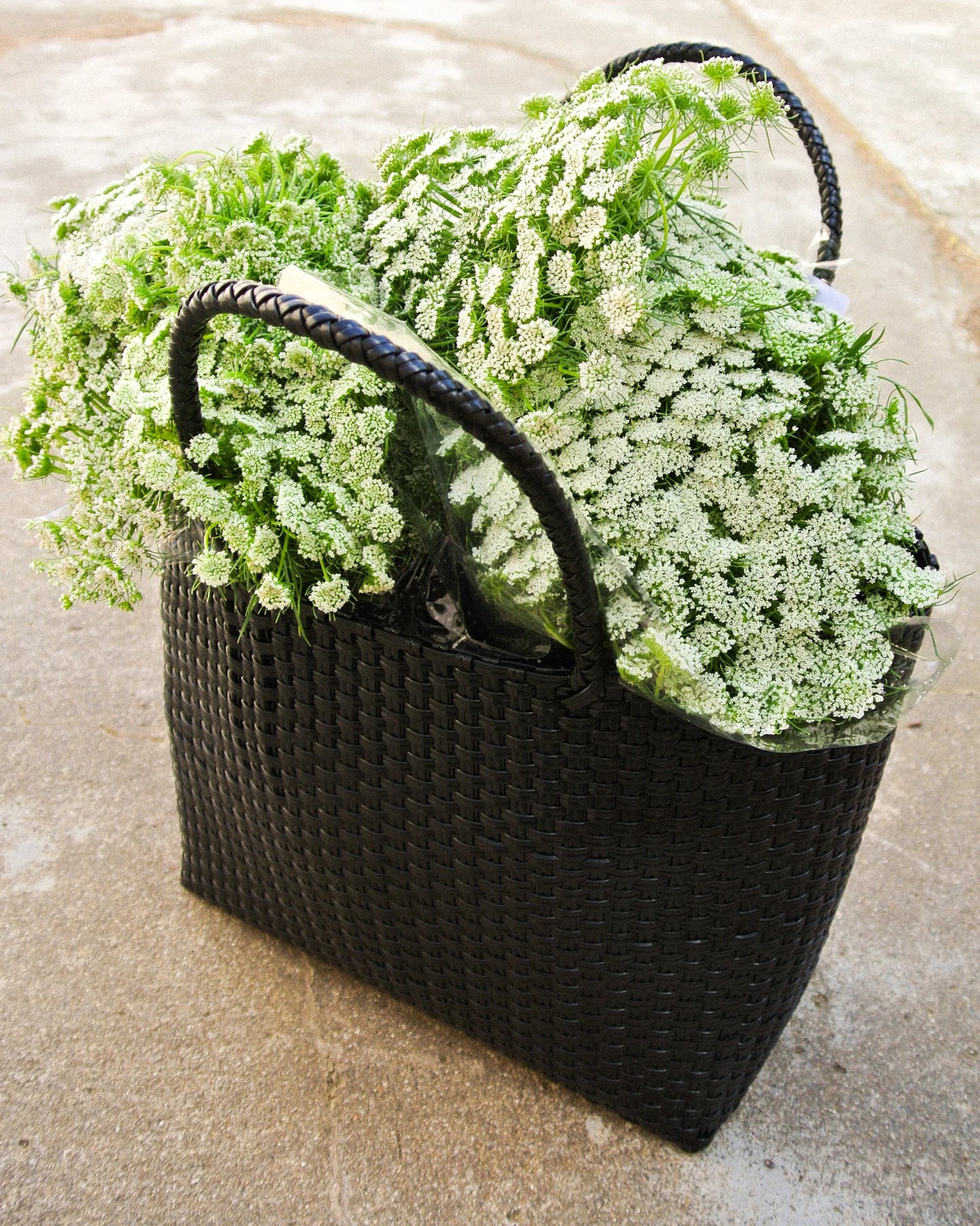 Mimmi Terra - Eco Tote - Nera