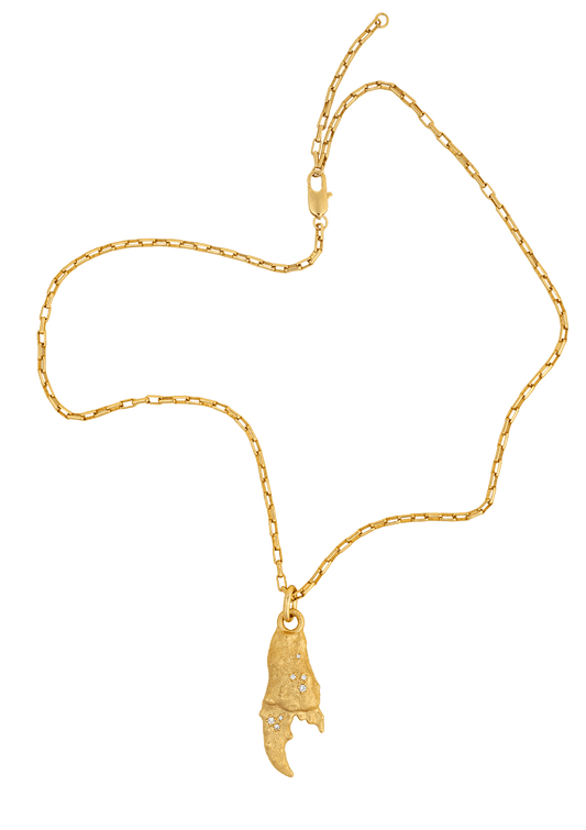 House of Vincent Shellwalker Amulet Necklace - Gold