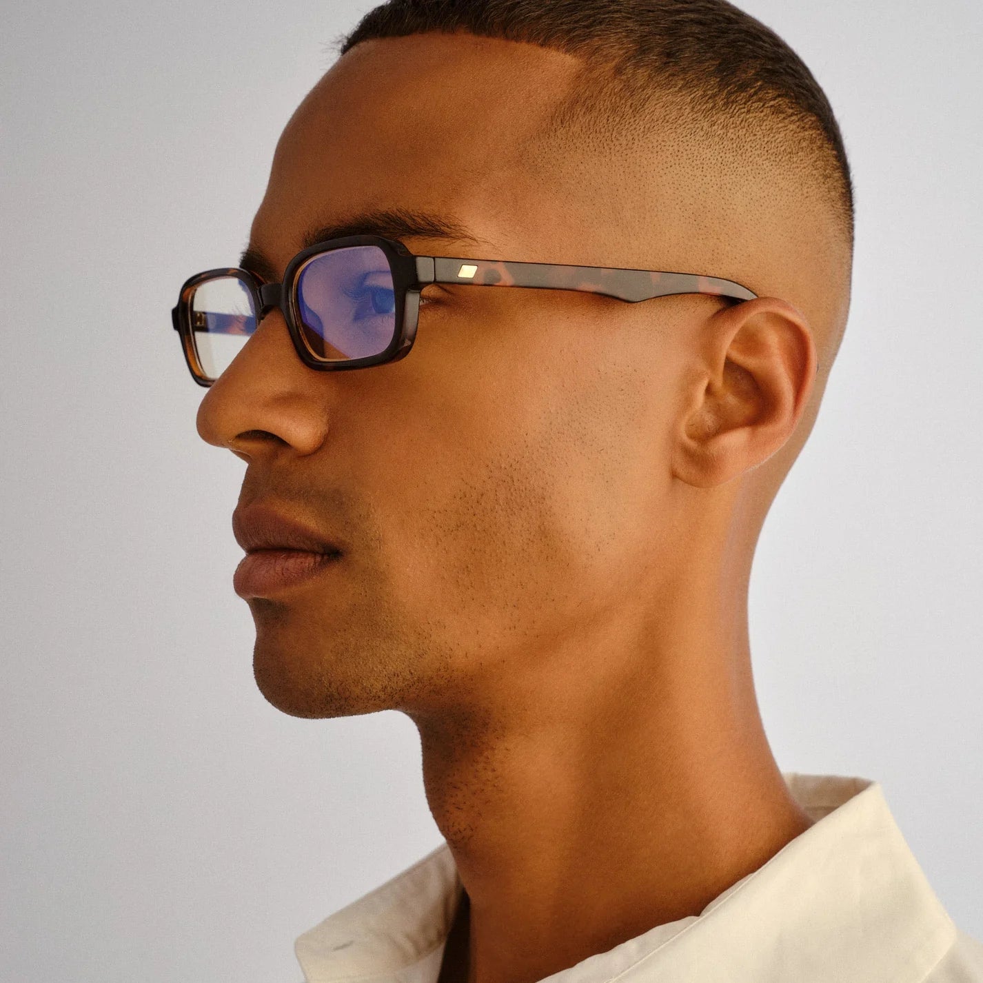 Le Specs - Pilferer, Tort Blue Light
