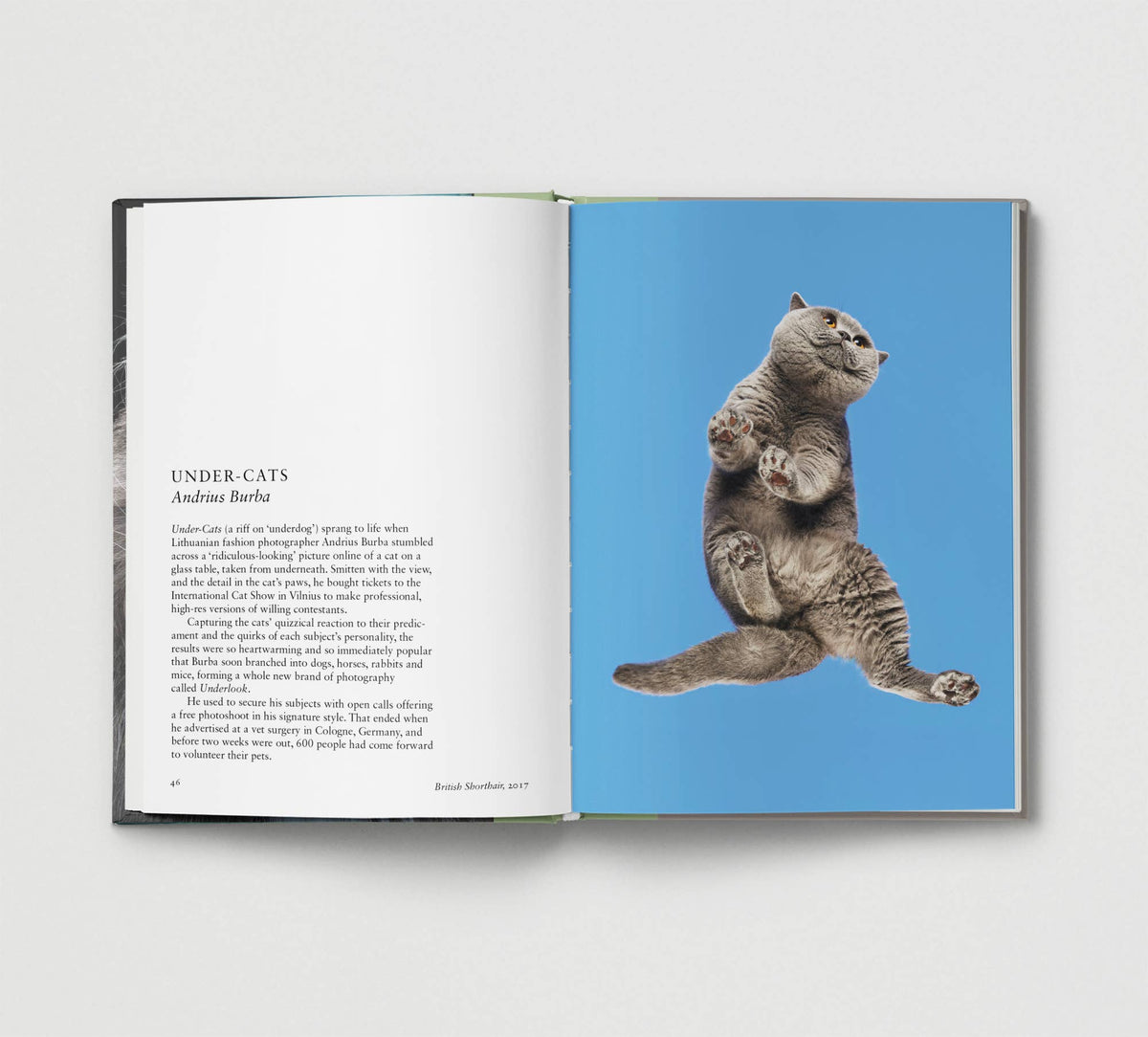 Hoxton Mini Press - Cat.
