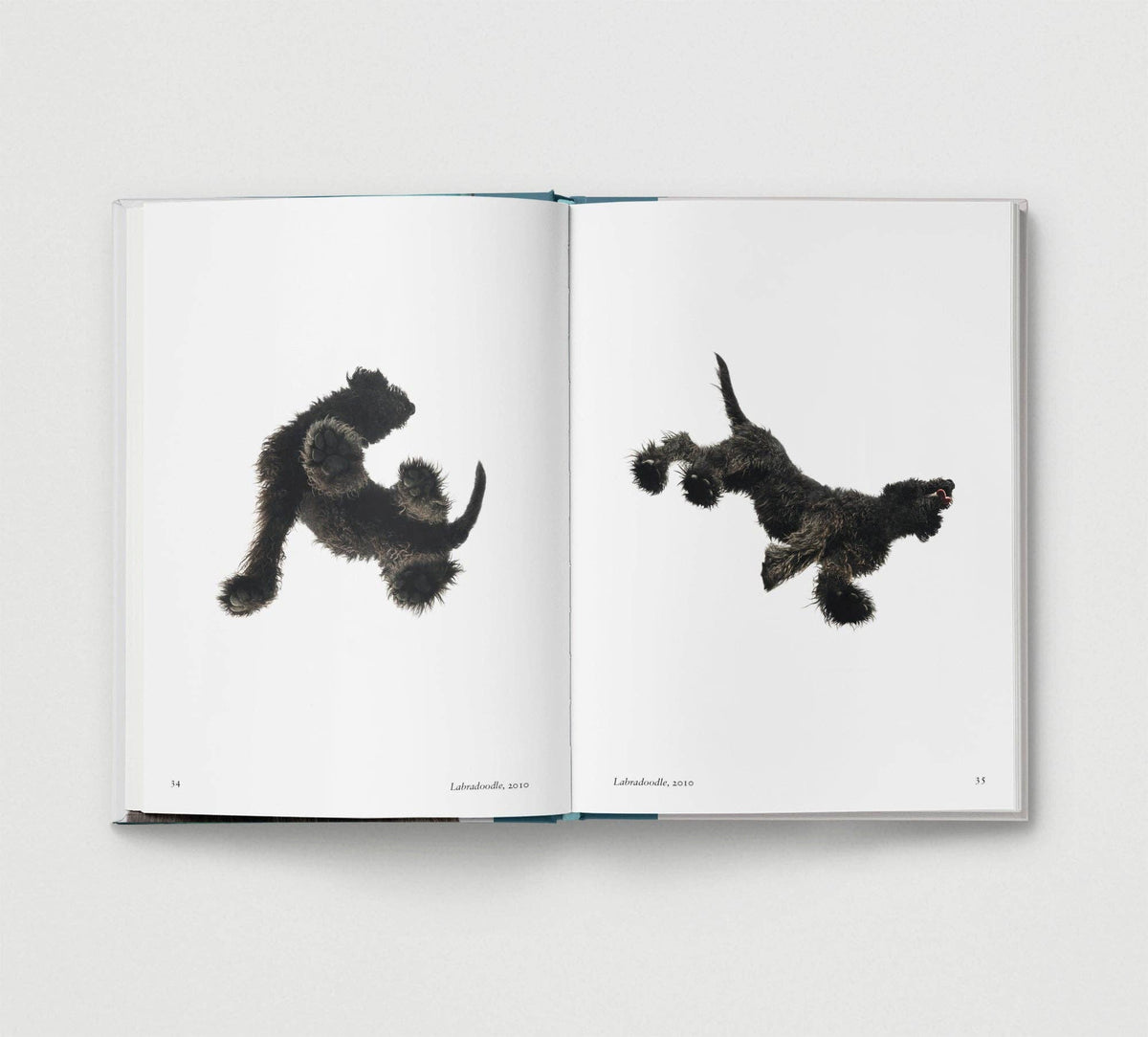 Hoxton Mini Press - Dog.