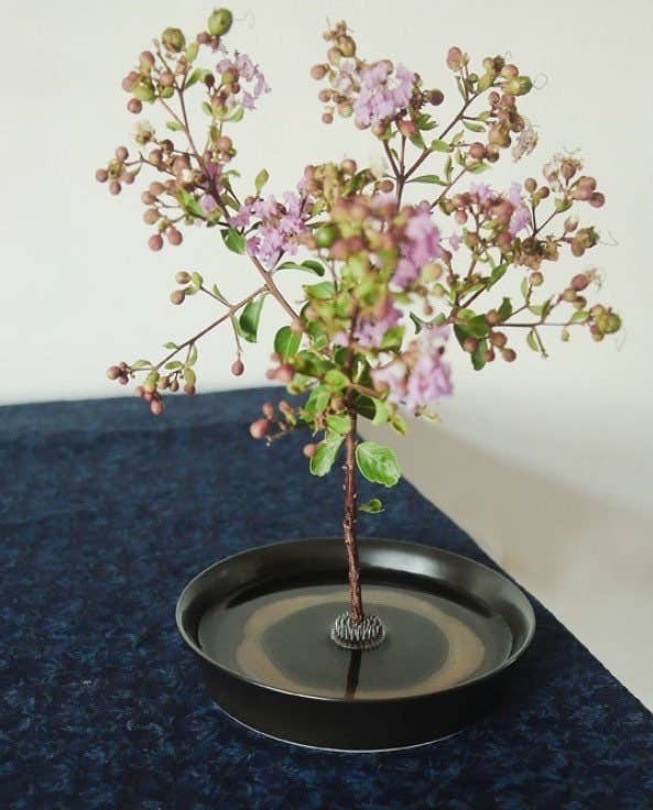 Gohobi -  Ikebana Kenzan Stainless Steel Flower Stand Flower Holder