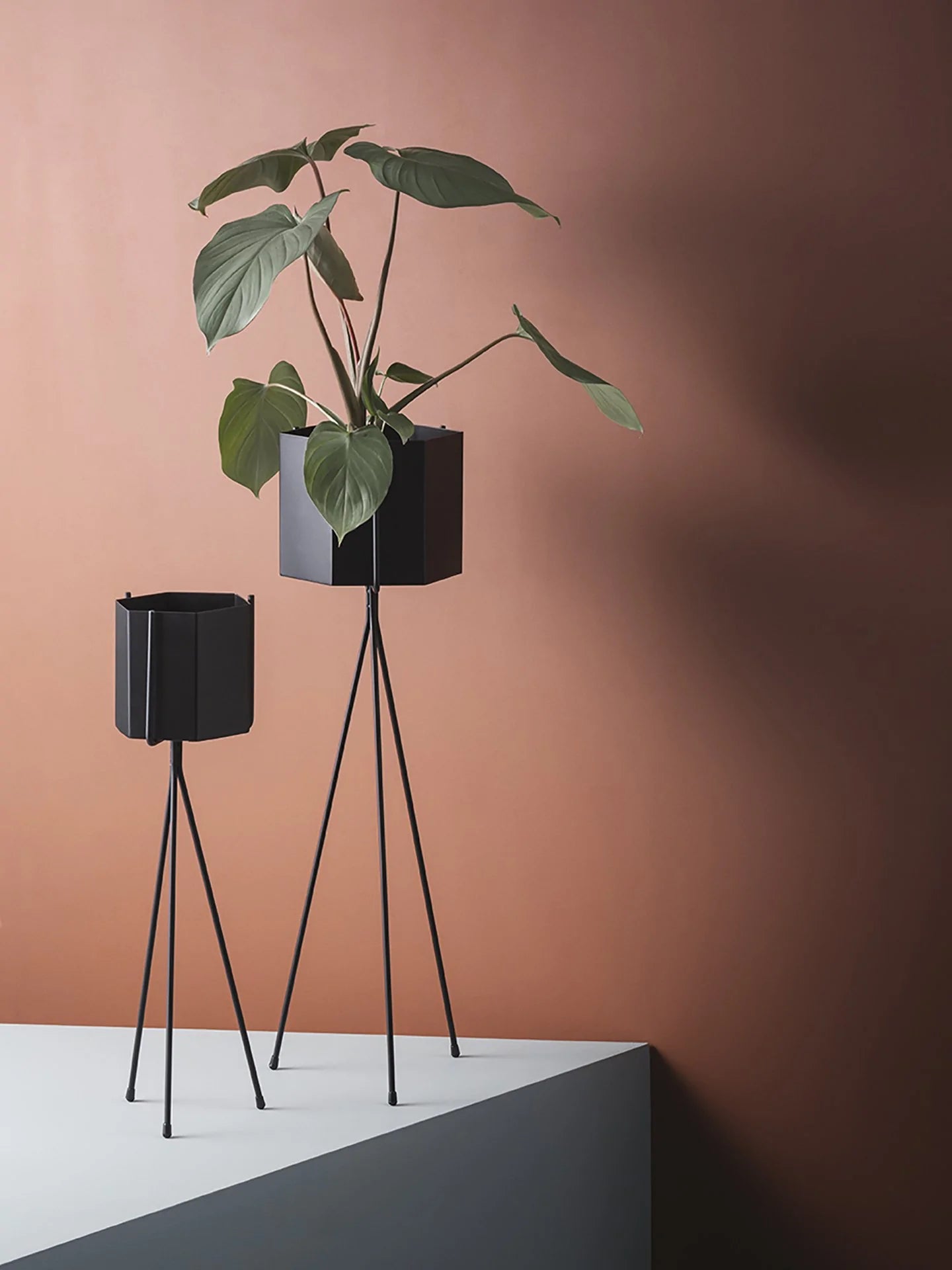 Ferm Living Low Plant Stand With Hexagon Pot