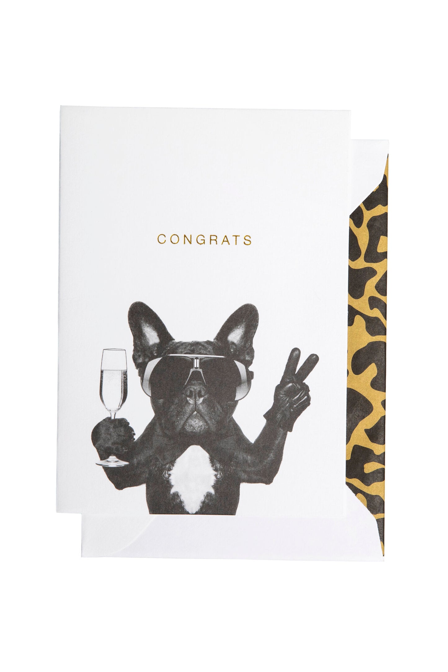 Cardsome Congrats Dog A6 Card